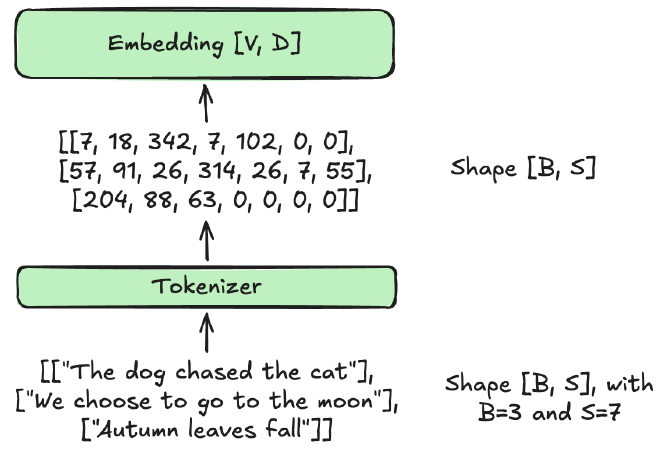 Input to tokens to start of embedding