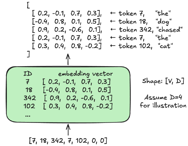 Converting from shape [B, S] of token IDs to the [B, S, D] tensor of embeddings